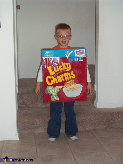 lucky charms costume