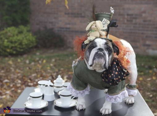 Mad Hatter Dog Costume