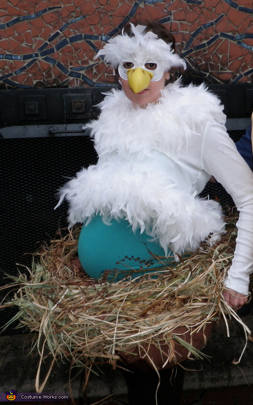 Mama Bird Sitting on Her Nest Costume