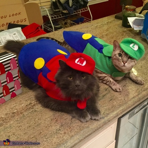 Mario and Luigi Costume