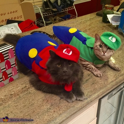 Mario and Luigi Cats Costume