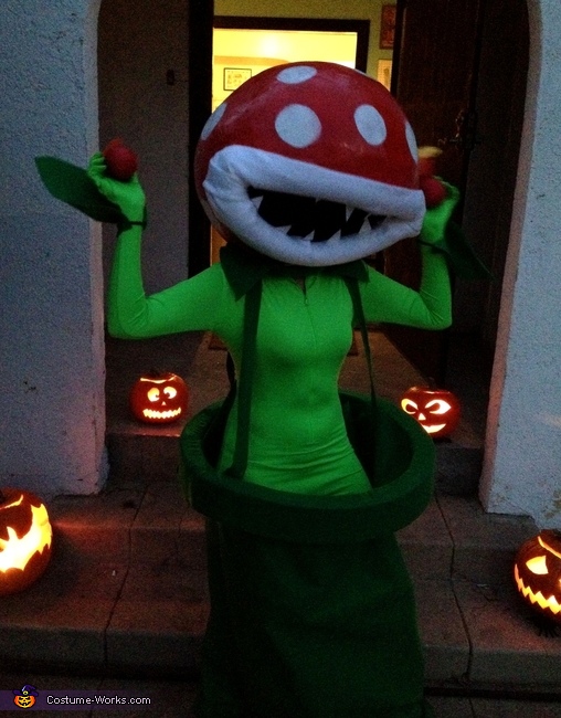Mario Bros Piranha Plant Costume