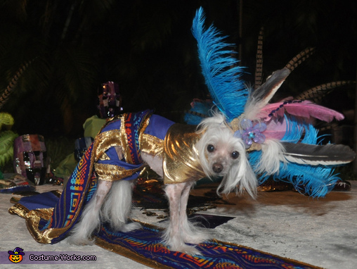 Mayan Princess Dog Costume