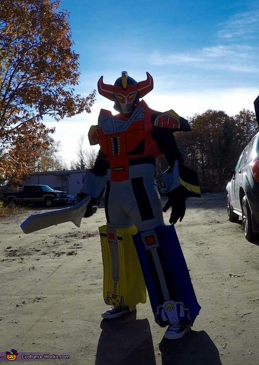 Megazord Costume