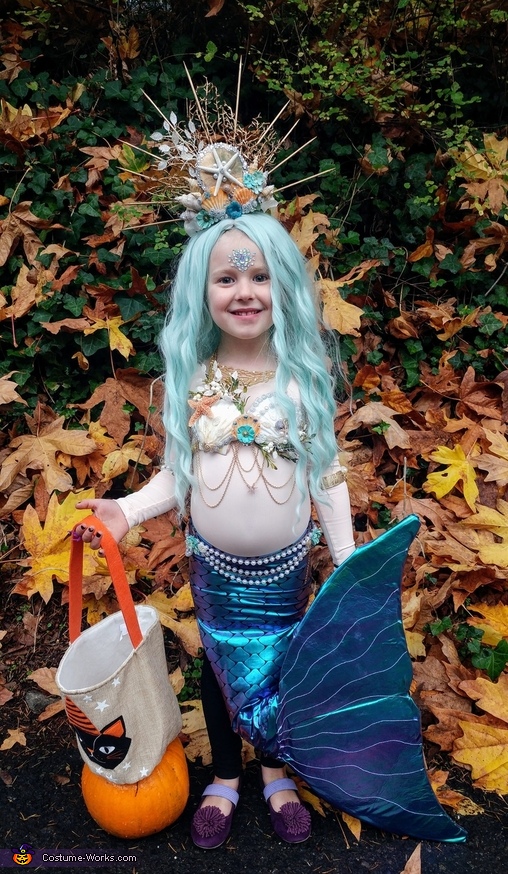 Mermaid costume  Mermaid costume, Mermaid bra, Mermaid halloween