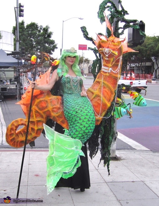 Mermaid and Seahorse Costume