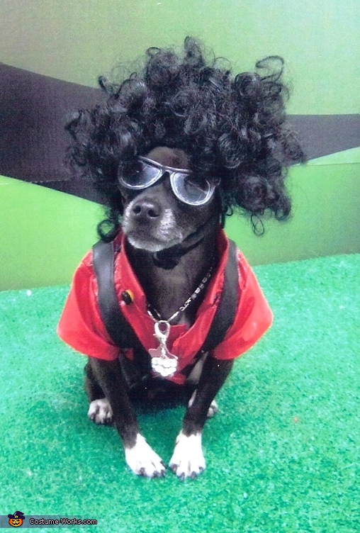 Michael Jackson Thriller - Halloween Costume for Dogs | Mind Blowing