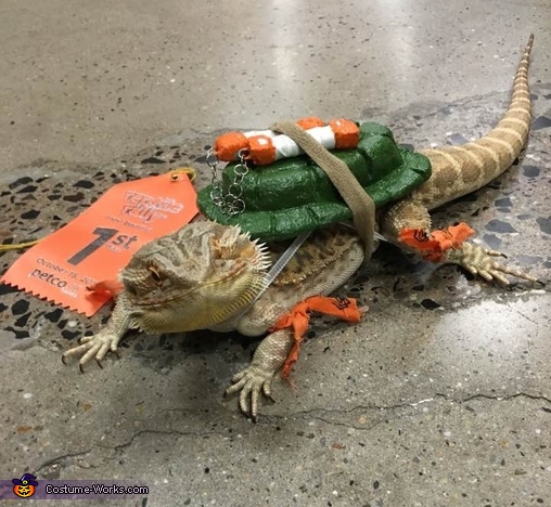 Michelangelo from TMNT Bearded Dragon Costume | DIY Costumes Under $45