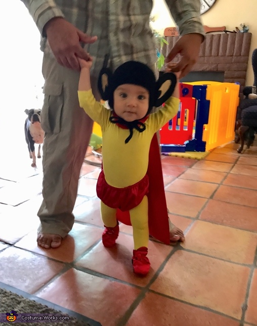 Mighty Mouse Costume