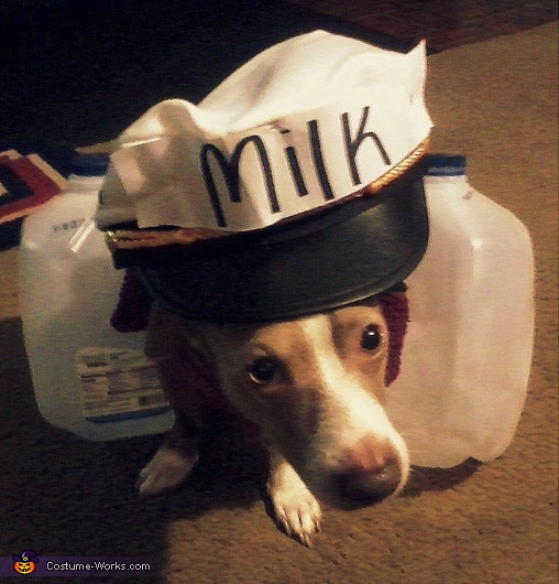 Milk-Man/Dog Costume