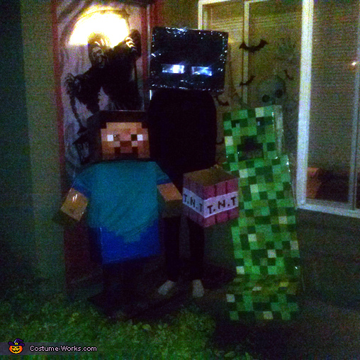Minecraft Family Costume