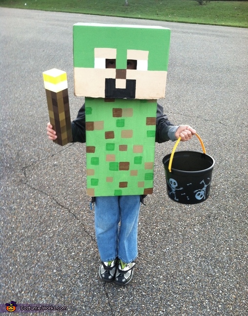 Minecraft DIY Boy's Costume | DIY Costumes Under $35