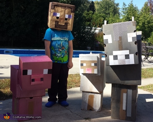 Minecraft Characters Costume