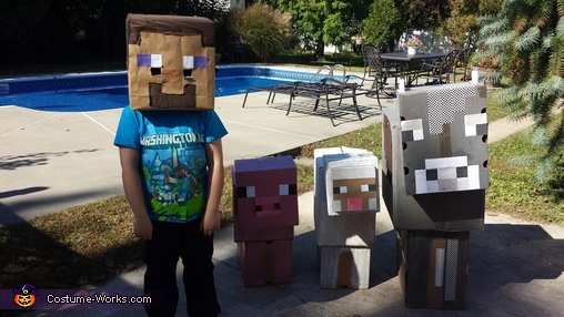Minecraft Characters Costume - Photo 5/6