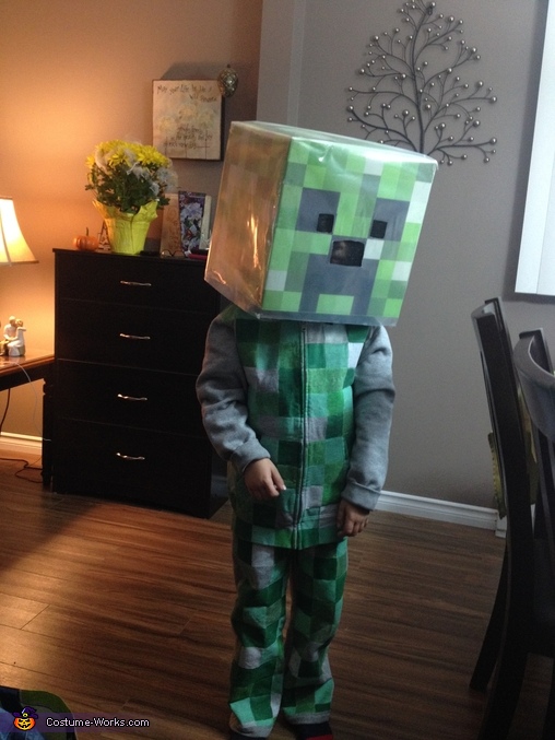 DIY Minecraft Creeper Costume Idea | Easy DIY Costumes - Photo 2/5