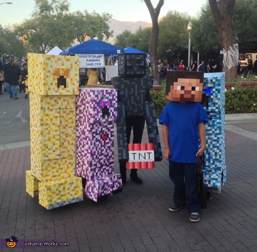 Minecraft Creepers And Enderman Costume