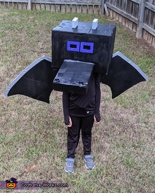 Minecraft Ender Dragon Costume