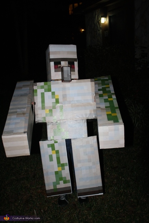 Minecraft Halloween costumes - ideas for kids and adults  Minecraft  halloween costume, Best girl halloween costumes, Minecraft costumes