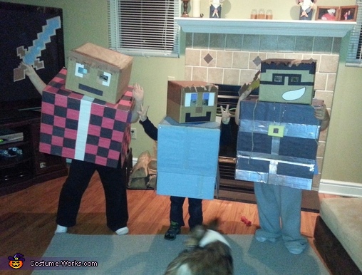 Minecraft Game Characters Costume