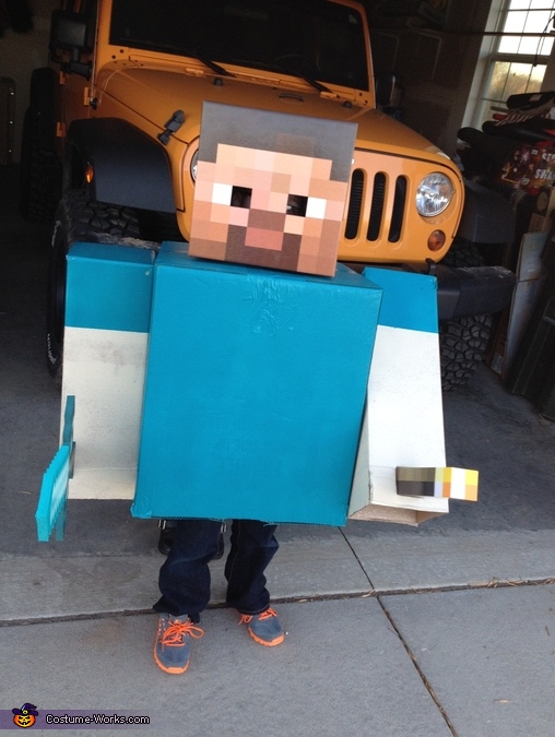 Minecraft Steve Costume