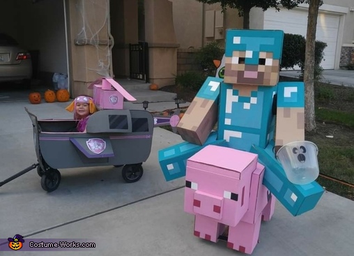Steve (Minecraft) and Skye (Paw Patrol) Costume