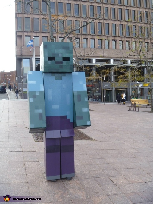 Minecraft Zombie Costume Photo 2 5