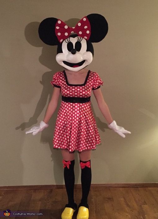 Minnie Mouse Adult Costume Diy Costumes Under 65