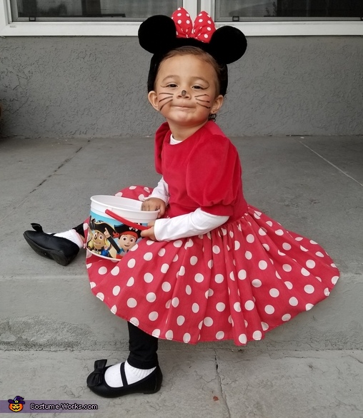 Buy > 2t minnie mouse costume > in stock