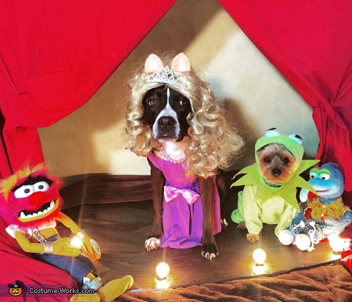 Miss Piggy Kermit Dogs Costume
