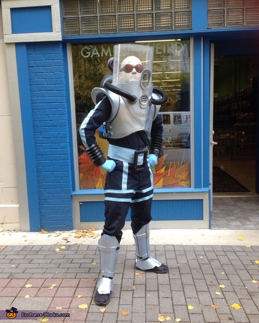 Mister Freeze Costume