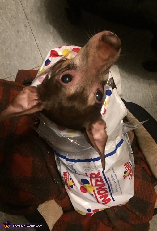 Mister Weenie the PURE bread Costume