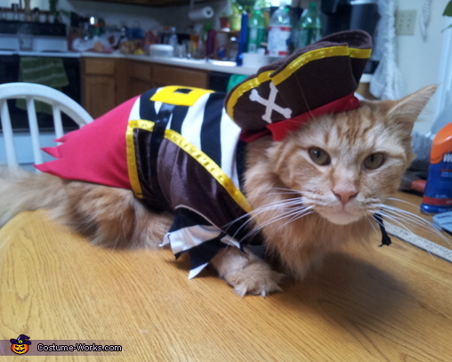 Mommy's Little Pirate Costume