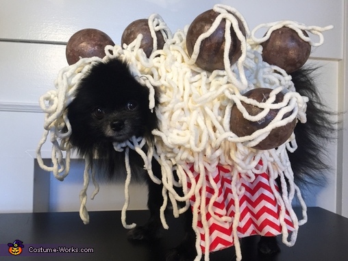 Mom's Spaghetti Costume