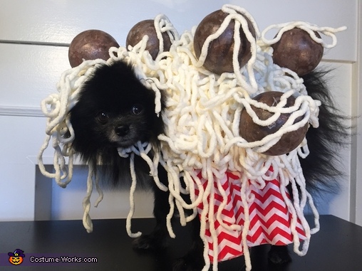 DIY Dog Halloween Costume Idea: Spaghetti and Meatballs - Wear Wag Repeat