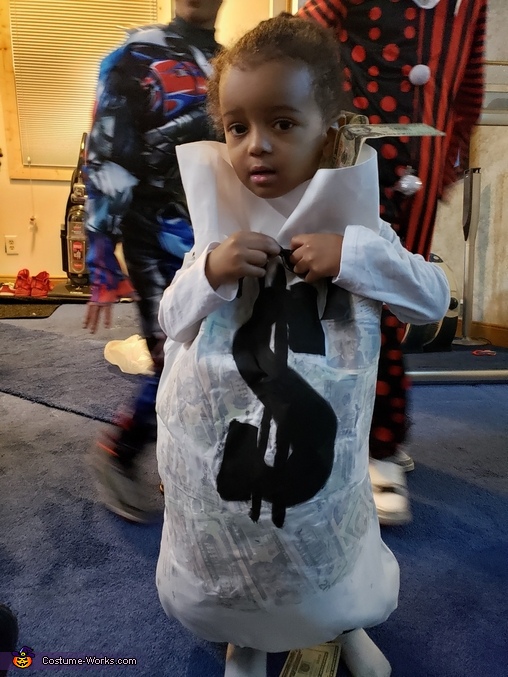 Money Bag Costume