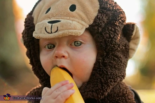 Monkey Baby Costume