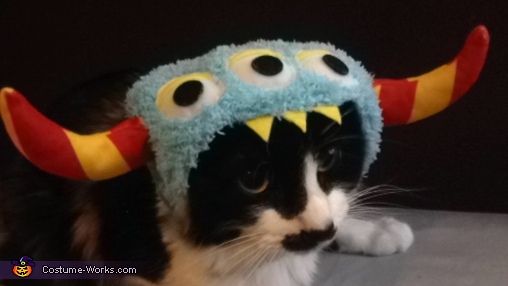 Monster Cat Costume