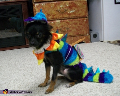 Monster Under the Bed Dog Costume