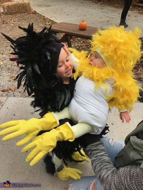 Mother Hen and her Chick Costume