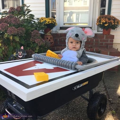 Mouse in Mousetrap Baby Halloween Costume | Best DIY Costumes