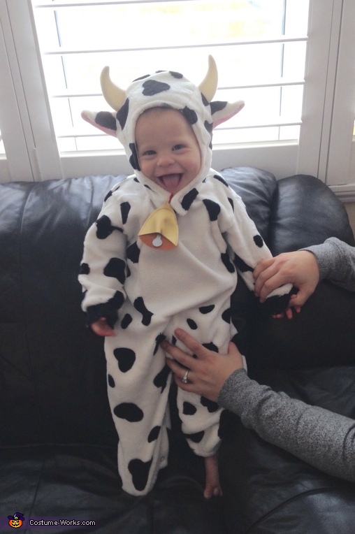 Mr Cow Costume