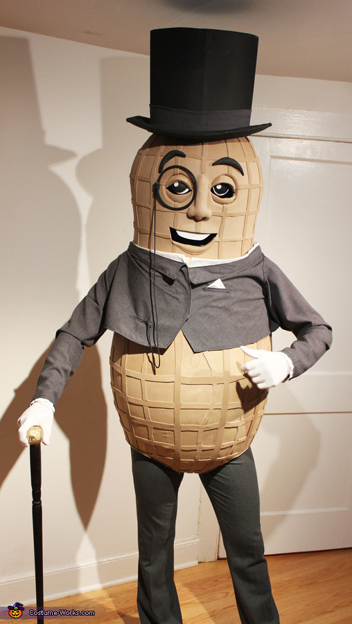 Mr Peanut Costume