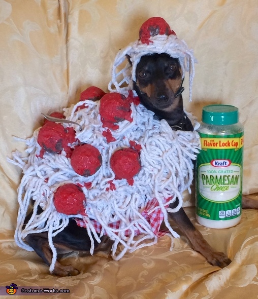 DIY Dog Halloween Costume Idea: Spaghetti and Meatballs - Wear Wag Repeat