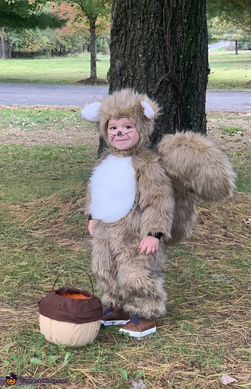 Mr. Squirrel Costume