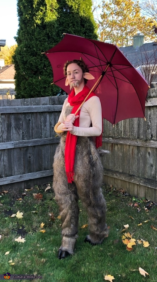 Mr. Tumnus from Chronicles of Narnia Costume