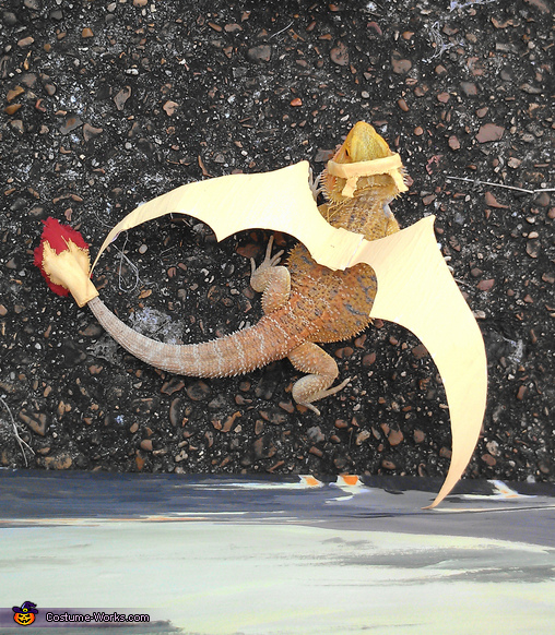 Munch the Dragon Costume