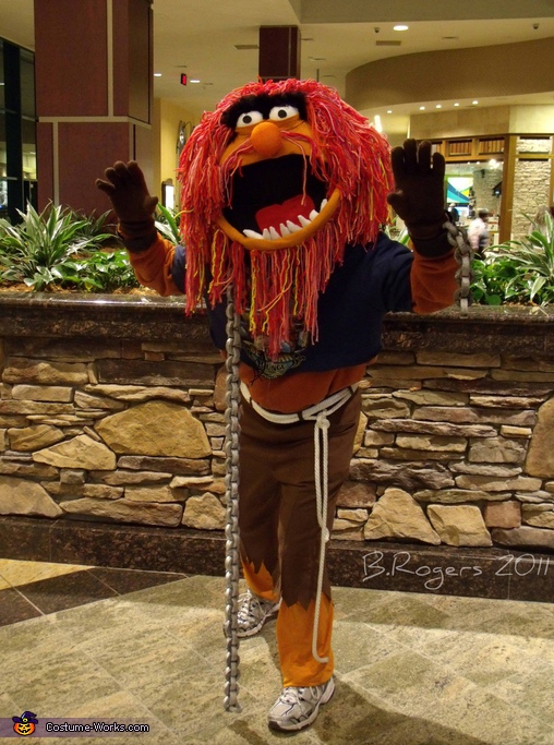 Homemade Muppets Animal costume