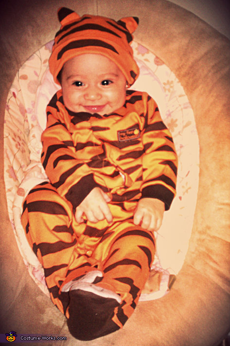 My Baby Tiger Cub Costume