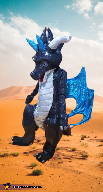 Mystical Dragon Costume