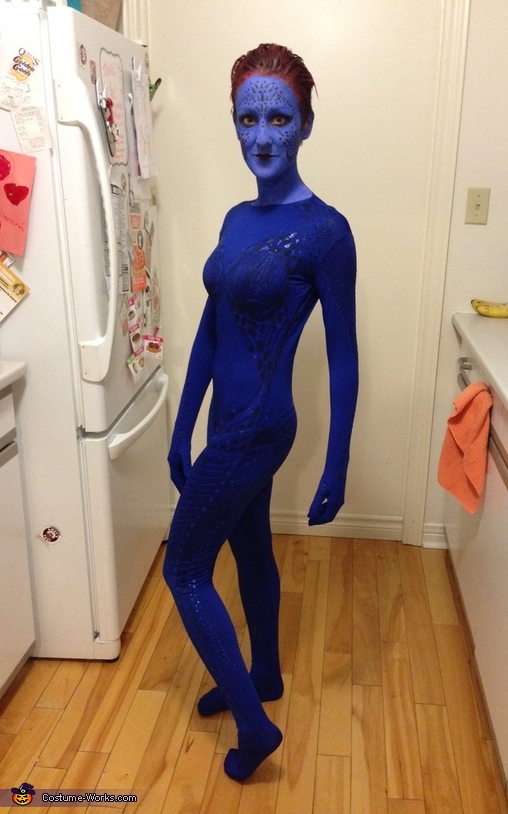 Women's DIY Mystique Costume